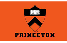 princeton_flag_35189sma